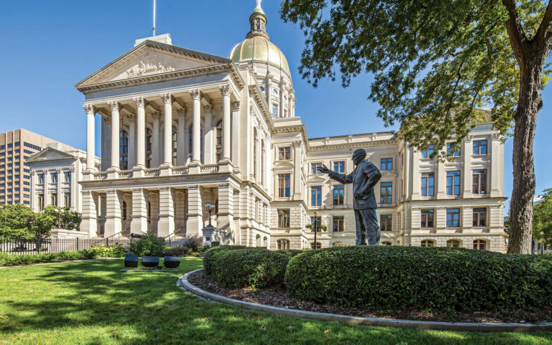 Georgia State Government Grants