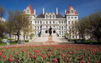 New York State Government Grants